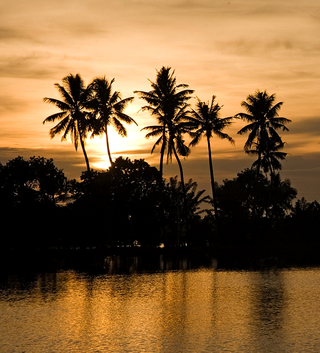 economy munnar